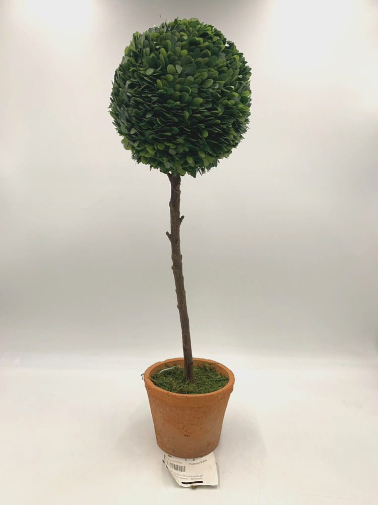 Pottery Barn Faux Potted Boxwood Ball Topiaries Green Medium #S9017