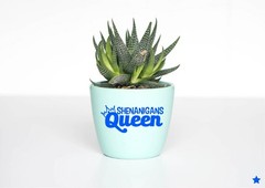 Shenanigans Queen Crown Decal Sticker Funny Adulting Teen Crazy Wild Fun Party