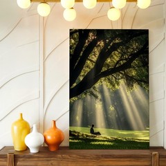 Wall Art Sun Rays Through Tree Forest Landscape Meditating Woman Nature Print