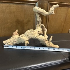 Natural Driftwood Sculpture 12″x9.5″ Organic Abstract Coastal Home Decor