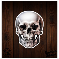 Human Skull – Vinyl Decal Sticker – Car Window Laptop – ebn9717