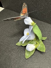 Lenox Nature’s Beautiful Butterflies Monarch No Box 1990 Fine Porcelain CoA