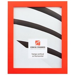 Craig Frames Confetti Primary, .875″ Wide Modern Picture Frame, Various Colors