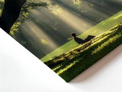 Wall Art Sun Rays Through Tree Forest Landscape Meditating Woman Nature Print
