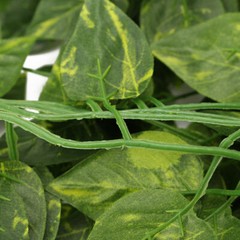 2 Bunch Artificial Fake Flower Vine Hanging Garland Plant Ivy Home Deco Green US