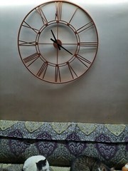 Metal Skeleton Copper Huge Color Super Strong Vintage Roman Deco Wall Clock
