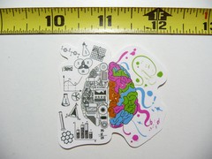 NICE BRAIN WITH COLLAGE OF MATH SMALL STICKER DECAL MATHEMATICS SCHOOL TEACHER
