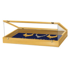 Trade Show Display Case / Card Display Case / Jewelry Case P302B Tradeshow