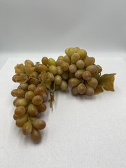 Faux Green Grapes Large Cluster Rubber Vintage