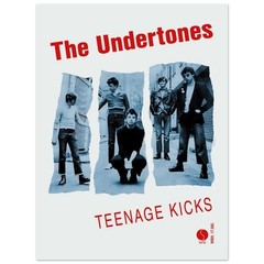 The Undertones Teenage Kicks Poster Semi-Glossy Punk Rock Band Promotional 24×36