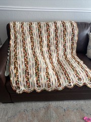 Anique Crocheted Afghan 42” X66” Made In The 1970’s