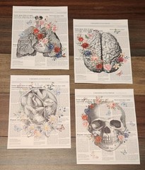 Floral Anatomy Canvas Wall Hangings 8×10 4pc Set Art Prints Home Decor New