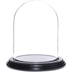 Plymor 4″ x 5.25″ Glass Display Dome Cloche (Black Wood Veneer Base)