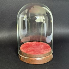 Vintage Miniature Glass Display Dome Cloche with Velvet Wood Pedestal Base 5″