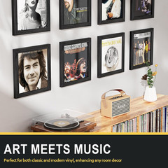 Vinyl Record Frame for the Wall, Vinyl Record Display Frame, Album Frames for 12