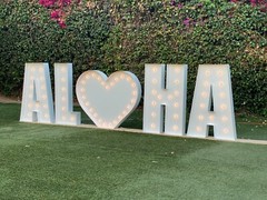 Extra Large Marquee Letters 5ft Tall |Giant Light Up Letters and Numbers 5ft 6ft