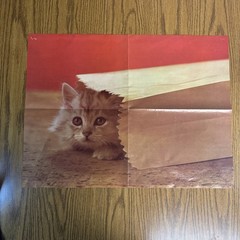 Vintage 70s 1977 Xerox Cute Kitten Kitty Cat Hiding In Bag Poster Wall Art 24×18