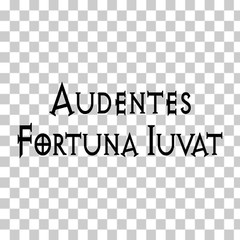 Audentes Fortuna Iuvat Vinyl Sticker/Decal Latin Saying Fortune Favors The Bold