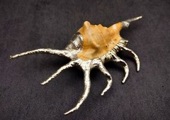 Silver-Plated Oranger Spider Seashell (1 Shell approx. 4+ inches)