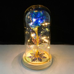 Rose Flowers Christmas Gift for Women,Glass Dome Rose Gifts for Mom Wife Grandma