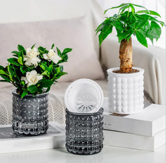 1pc Mini Self Watering Flower Pot Transparent Plastic Hydroponic Vase – NEW