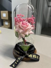 Preserved Rose Gifts for Women Forever Real Rose in Glass Dome Romantice Rose…