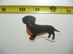 DACHSHUND LOOKING SMALL STICKER DECAL DOG PET DOXIE WIENER LOVE LOVER