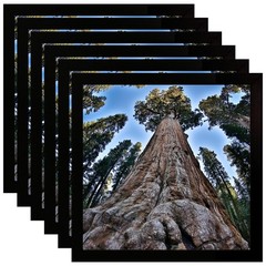 6 PCS 6×6 Inch Square Picture Frame Black Photo Display Wall Tabletop Set