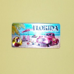 Buc-ee’s Florida The Sunshine State DOUBLE-SIDED Magnet Sparkles Daytona Beach