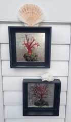 Coral Print, Mirror Effect Black Framed Shadow Boxes, Set of 2, Coastal Classy