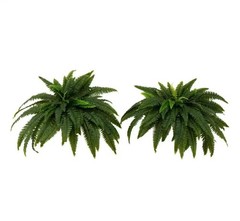 21 In. UV Resistant Artificial Boston Fern (Indoor/Outdoor)-(Set of 2)