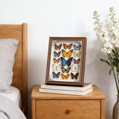 Specimens Display Frame 9.8 x 9.8 Inch Shadow Box Mini Memory Box Frame Black