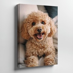Cute Fluffy Small Dog Canvas Wall Art Happy Puppy Portrait Home Decor Print