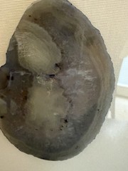 Beautiful Framed Geode Slice Wall Art 12 in Gray Stone in Silver Shadow Box