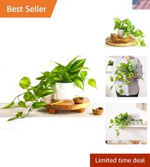 Lifelike Artificial Ivy Plant with 5″ Wide Pot – Enhance Any Room Effortlessly