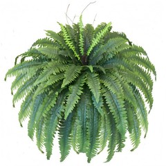 Artificial Ferns for Outdoors & Indoors, 51in Fake Fern Large Plants with 66 …
