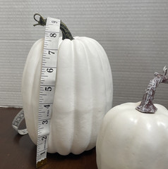 Artificial Pumpkins Assorted Sizes Rustic Harvest White Fall Decor Halloween