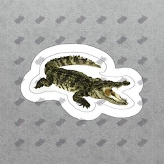 Realistic Alligator Vinyl Sticker Crocodile Decal for Water Bottles, #801135