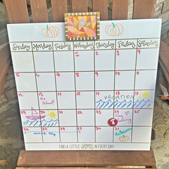 Happy Everything! Coton Colors – Magnetic Dry Erase 18in Wall Calendar – NEW NIB