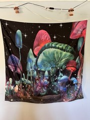 Trippy Mushroom Galaxy Tapestry Wall Art Boho Decor Fast Shipping Gift Idea