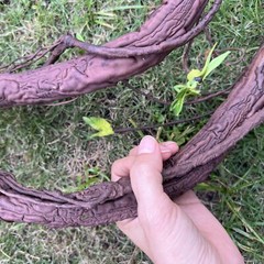 Bendable Artificial Tree Twigs Cane Vine Branches Largre 6Ft Faux Plant Trunk…