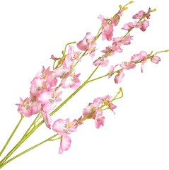 Artificial 37in Orchids Flowers 12PCs Silk Dancing Lady Orchids pink