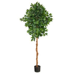 6 Ft. Artificial Ficus Tree