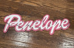 PERSONALIZED Custom Name Barbie Font 3D Logo Shape Wood Sign Decoration