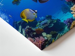 Tropical Fish & Coral Reef Canvasserene Underwater Ocean Art Wall Art