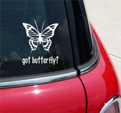 GOT BUTTERFLY? BUTTERFLY GRAPHIC DECAL STICKER ART CAR WALL DECOR