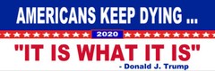 «IT IS WHAT IT IS» DUMP TRUMP (8″ x 3″) VINYL BUMPER STICKER – POLITICAL BIDEN