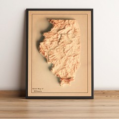 Illinois Map, Illinois 2D Relief Map, Illinois Vintage Map – 2D Flat Print