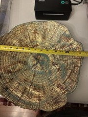 decorative object featuring a textured, gold-leafed tree ring pattern