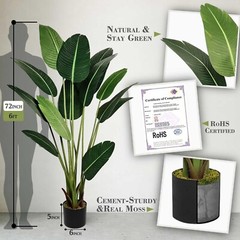 Indoor/Outdoor 6ft Faux Bird of Paradise Plant in Heavy-Duty Decorative Pot